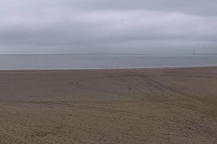 Obraz podglądu z kamery internetowej Zeeland - beach of Vrouwenpolder